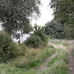 Landstedet * Грам