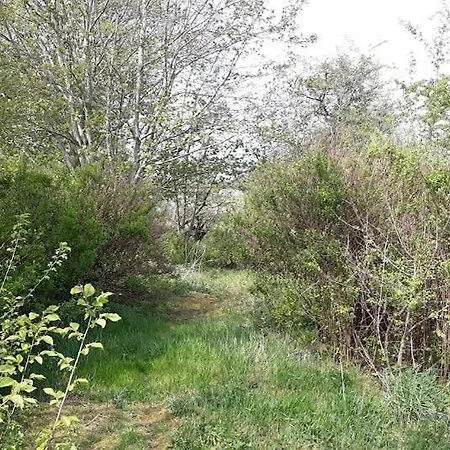 Landstedet 度假居