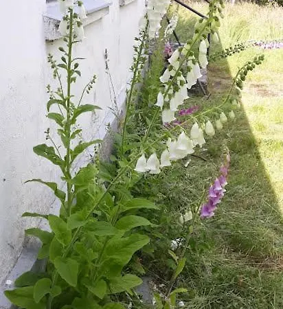 Feriehus Landstedet Gram