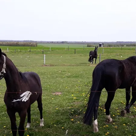 Landstedet *